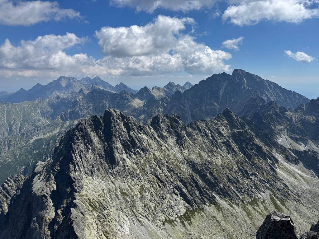 Mountain Joy